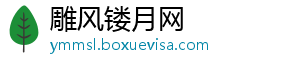 雕风镂月网